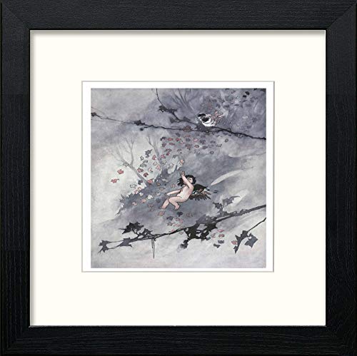 lumartos Vintage Poster The Sensitive Plant (13) – Black Wood Frame Wall Art – Framed Wall Art Print by Lumartos Premium Home Décor