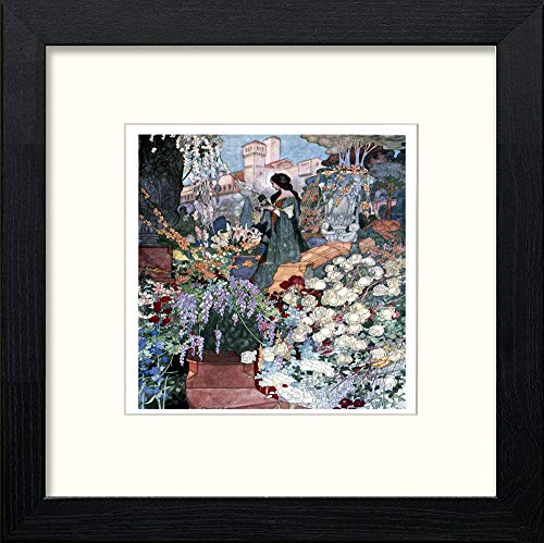 lumartos Vintage Poster The Sensitive Plant (6) – Black Wood Frame Wall Art – Framed Wall Art Print by Lumartos Premium Home Décor