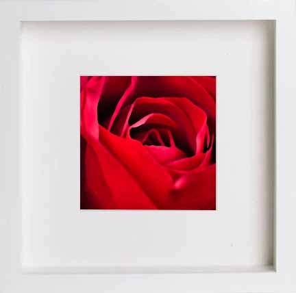 lumartos Vintage Red Red Rose – White Frame Wall Art – Framed Wall Art Print by Lumartos Premium Home Décor