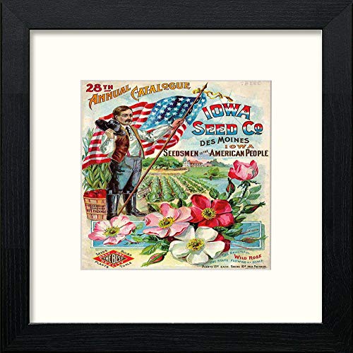 lumartos Vintage Seed Catalog Cover – Black Wood Frame Wall Art – Framed Wall Art Print by Lumartos Premium Home Décor