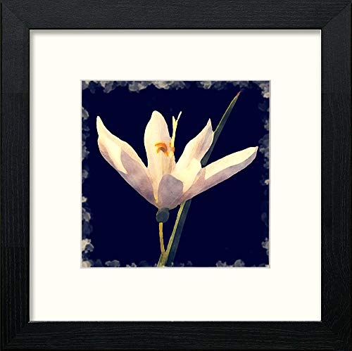 lumartos White Flower – Black Wood Frame Wall Art – Framed Wall Art Print by Lumartos Premium Home Décor