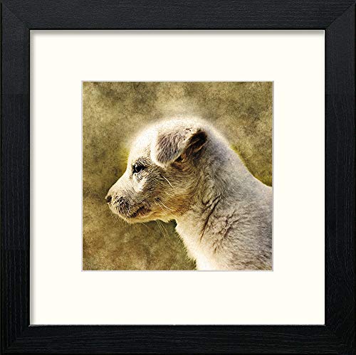 lumartos Young Pup – Black Wood Frame Wall Art – Framed Wall Art Print by Lumartos Premium Home Décor
