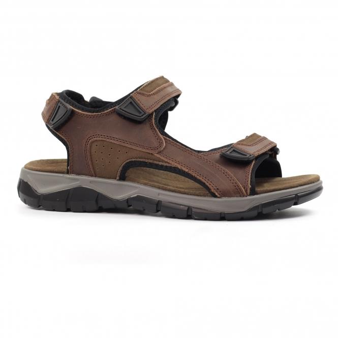 Lunar Lismore Brown Leather Sandal