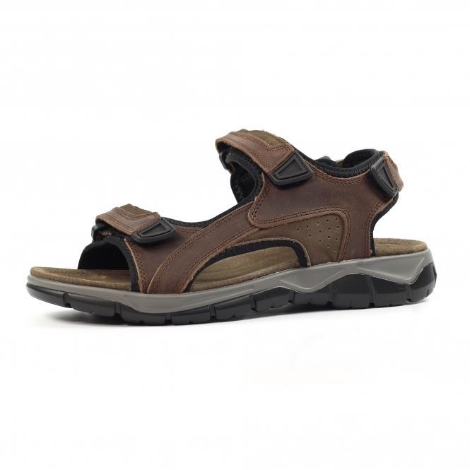 Lunar Lismore Brown Leather Sandal