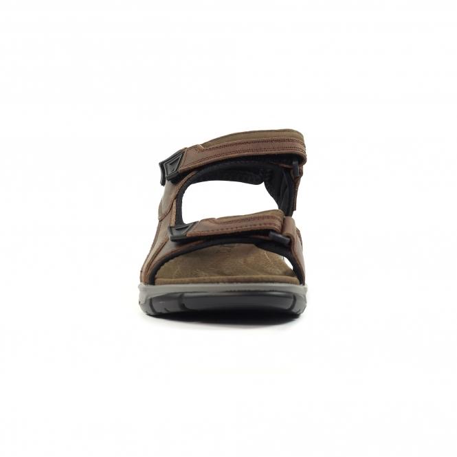 Lunar Lismore Brown Leather Sandal