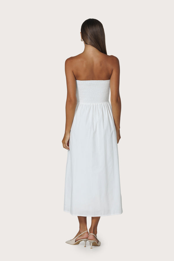 Lusana Dion Strapless Embroidered Dress