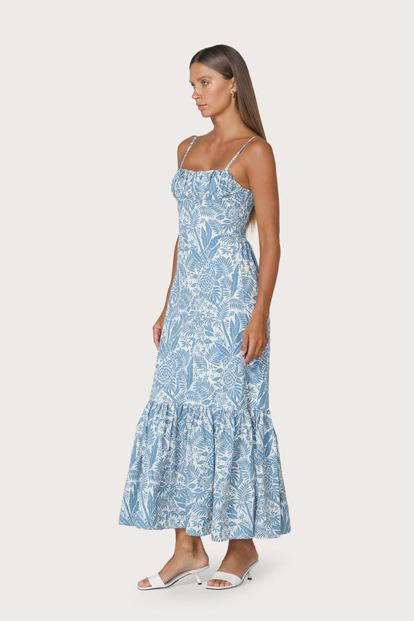 Lusana Jorden Maxi Poplin Dress In Botanical