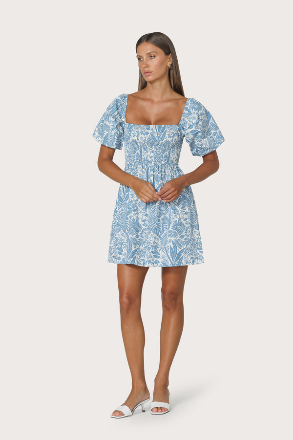 Lusana Maureen Poplin Dress In Botanical