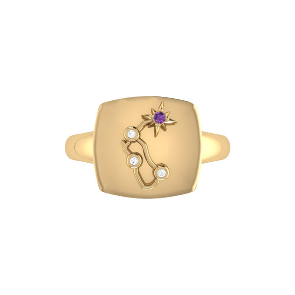 LuvMyJewelry Aquarius Water-Bearer Amethyst & Diamond Constellation Signet Ring In 14K Yellow Gold