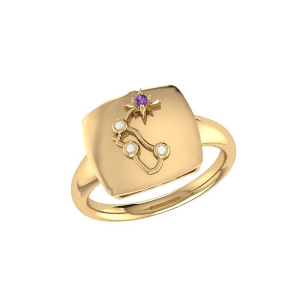 LuvMyJewelry Aquarius Water-Bearer Amethyst & Diamond Constellation Signet Ring in 14K Yellow Gold