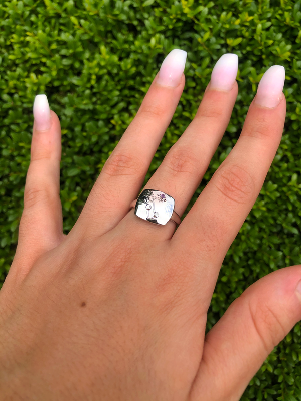 LuvMyJewelry Aquarius Water-Bearer Amethyst & Diamond Constellation Signet Ring In Sterling Silver