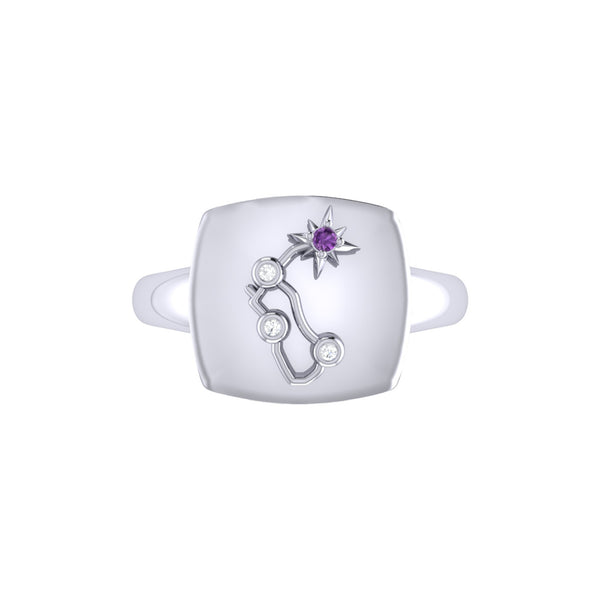 LuvMyJewelry Aquarius Water-Bearer Amethyst & Diamond Constellation Signet Ring In Sterling Silver