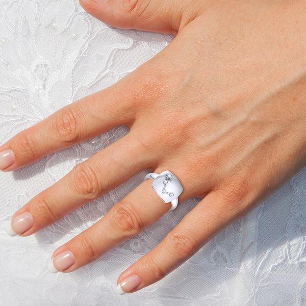 LuvMyJewelry Aries Ram Diamond Constellation Signet Ring In Sterling Silver