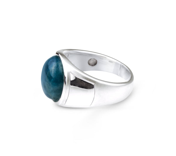 LuvMyJewelry Dark Blue Apatite Stone Signet Ring In Sterling Silver