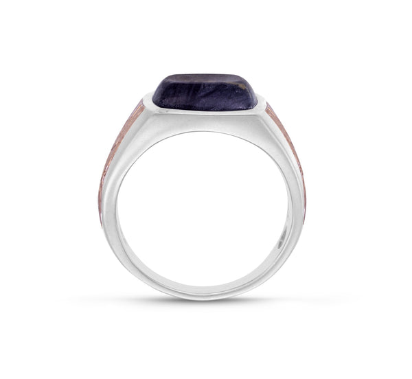 LuvMyJewelry Grey Picture Agate Stone Signet Ring In Brown Rhodium Plated Sterling Silver