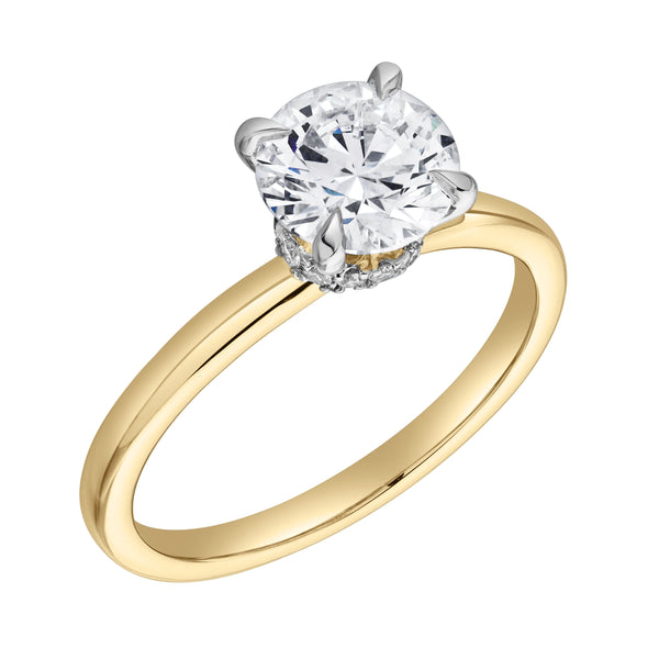 LuvMyJewelry Lila 14K Yellow Gold Round Lab Grown Diamond Hidden Halo Ring - 1.5 Ct