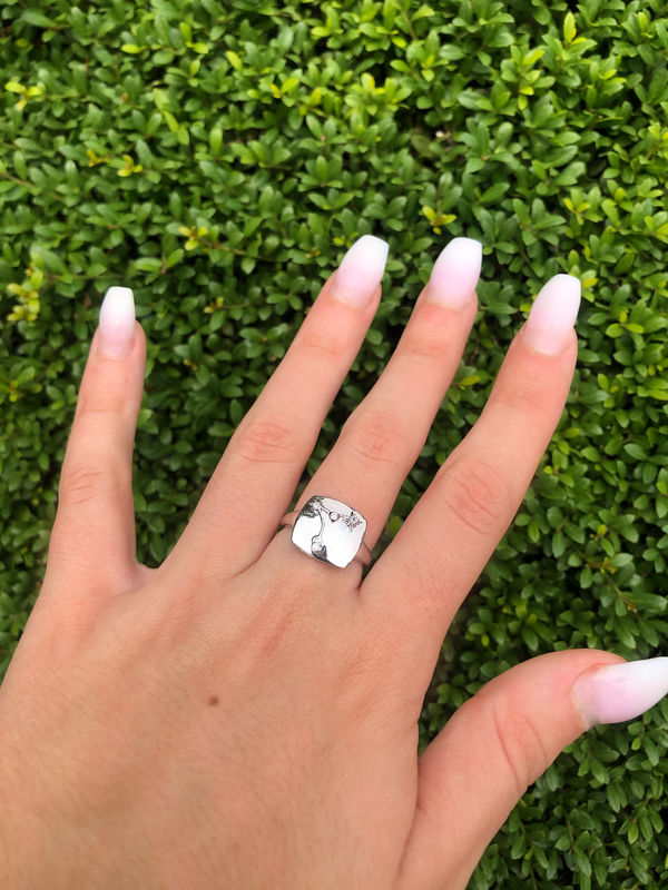 LuvMyJewelry Pisces Two Fish Aquamarine & Diamond Constellation Signet Ring In 14K White Gold