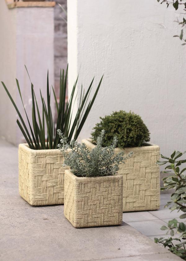 Luz Set Of 3 Woven Palm Cubes