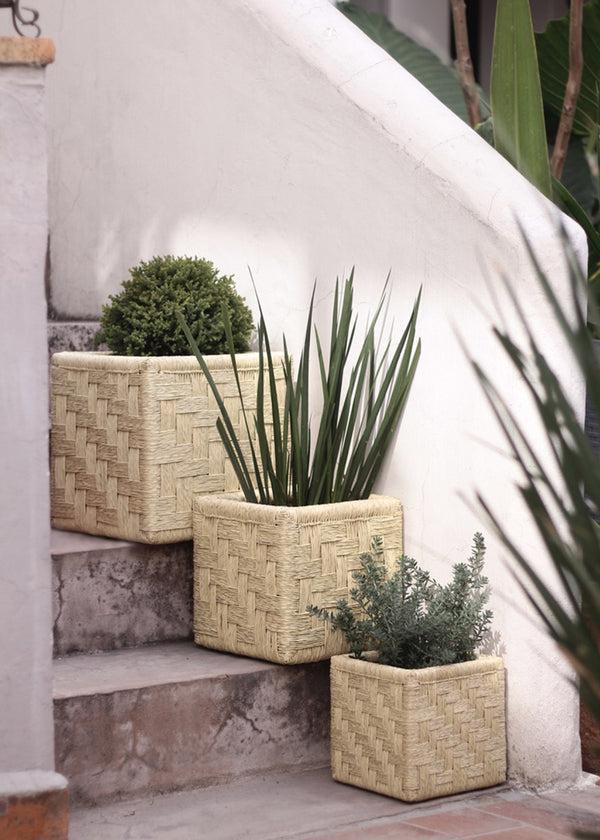 luz Set of 3 Woven Palm Cubes