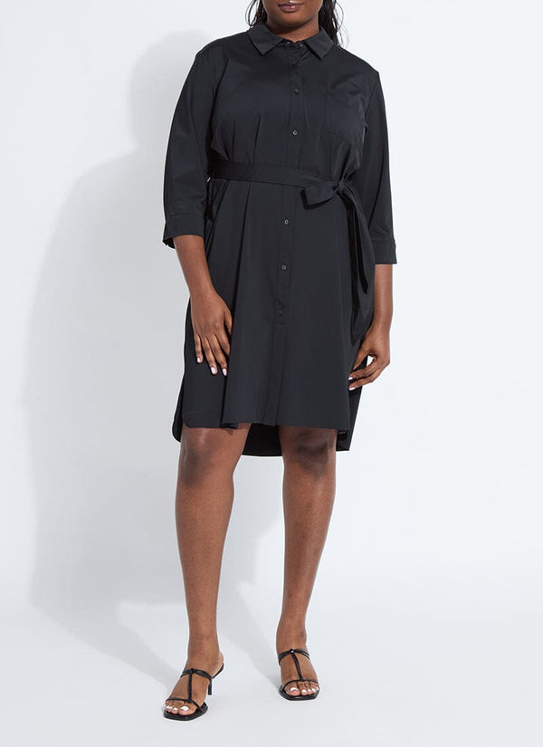 lyssé Schiffer Dress (Plus Size) Black