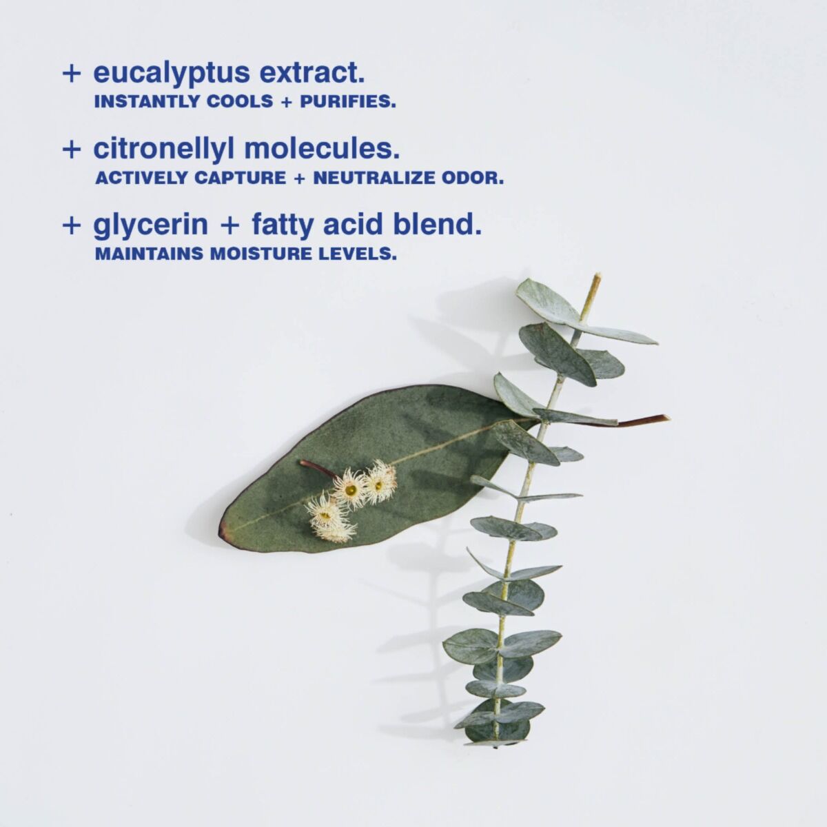 Malin Goetz Eucalyptus Deodorant