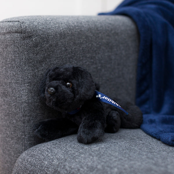 Mane 'n Tail Black Lab With Mane 'n Tail Blue Bandana