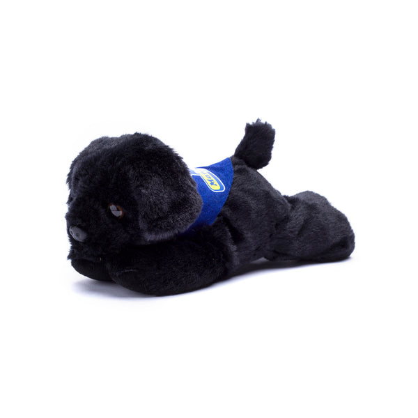 mane 'n tail Black Lab with Mane 'n Tail Blue Bandana
