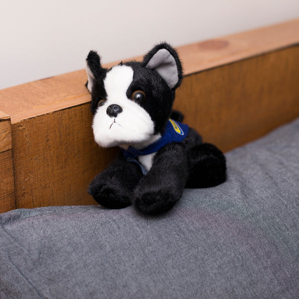 Mane 'n Tail Boston Terrier With Mane 'n Tail Blue Bandana