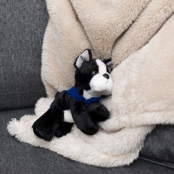 Mane 'n Tail Boston Terrier With Mane 'n Tail Blue Bandana