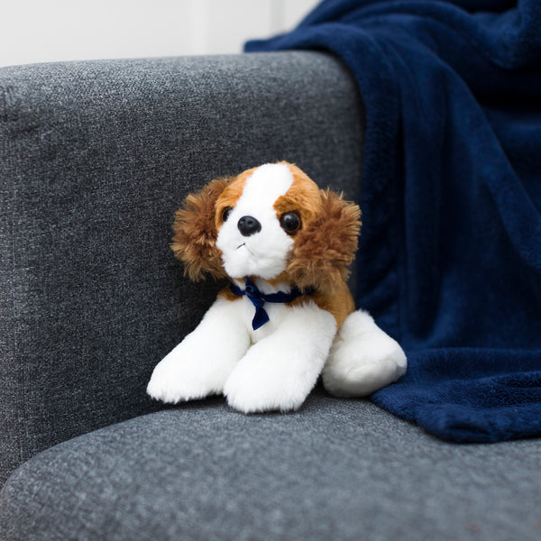 Mane 'n Tail Cavalier King Charles Spaniel With Mane 'n Tail Blue Bandana