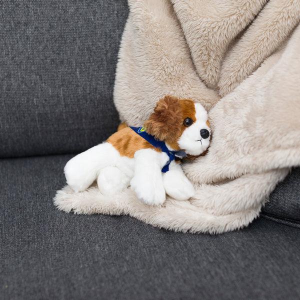 Mane 'n Tail Cavalier King Charles Spaniel With Mane 'n Tail Blue Bandana
