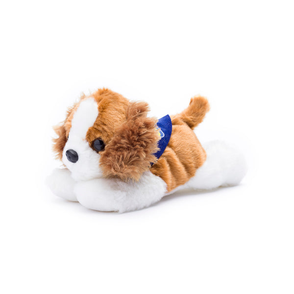 mane 'n tail Cavalier King Charles Spaniel with Mane 'n Tail Blue Bandana