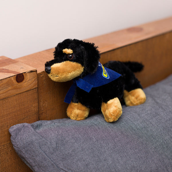 Mane 'n Tail Dachshund With Mane 'n Tail Blue Bandana