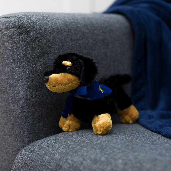 Mane 'n Tail Dachshund With Mane 'n Tail Blue Bandana