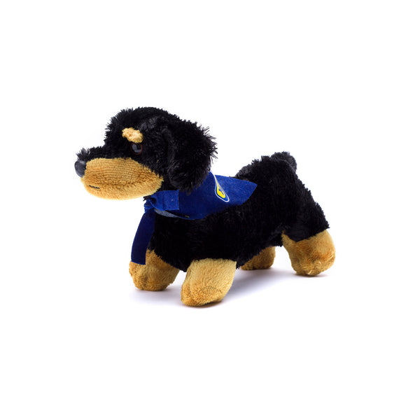 mane 'n tail Dachshund with Mane 'n Tail Blue Bandana