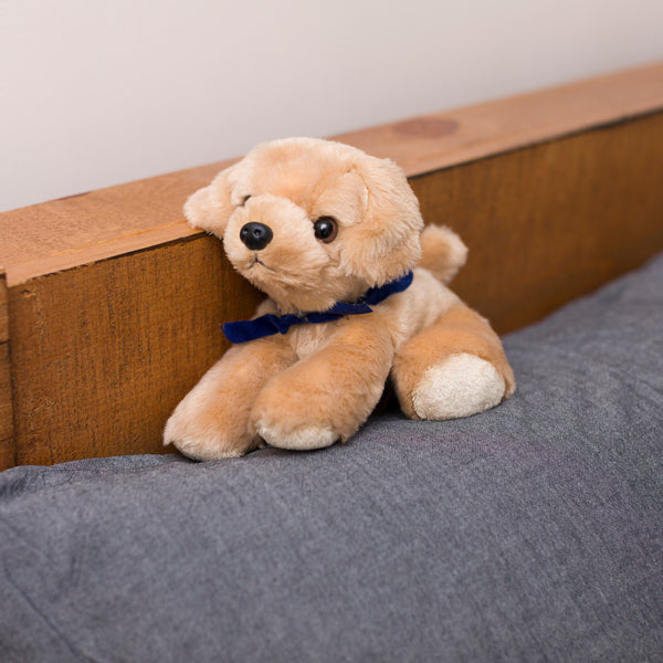 Mane 'n Tail Golden Lab With Mane 'n Tail Blue Bandana