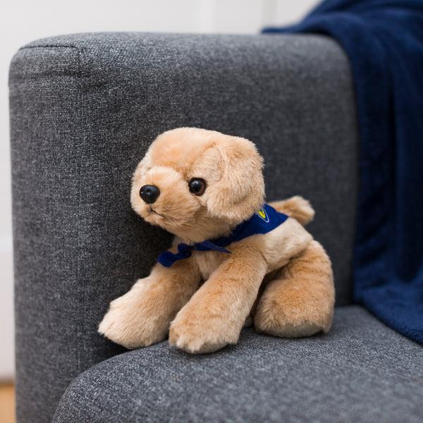 Mane 'n Tail Golden Lab With Mane 'n Tail Blue Bandana