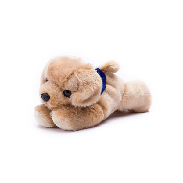 mane 'n tail Golden Lab with Mane 'n Tail Blue Bandana