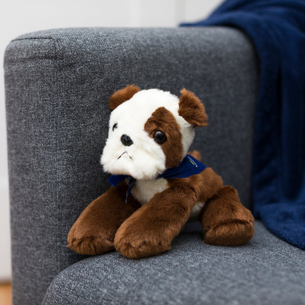 Mane 'n Tail Bulldog With Mane 'n Tail Blue Bandana