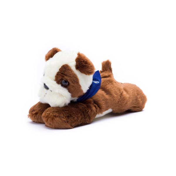mane 'n tail Bulldog with Mane 'n Tail Blue Bandana