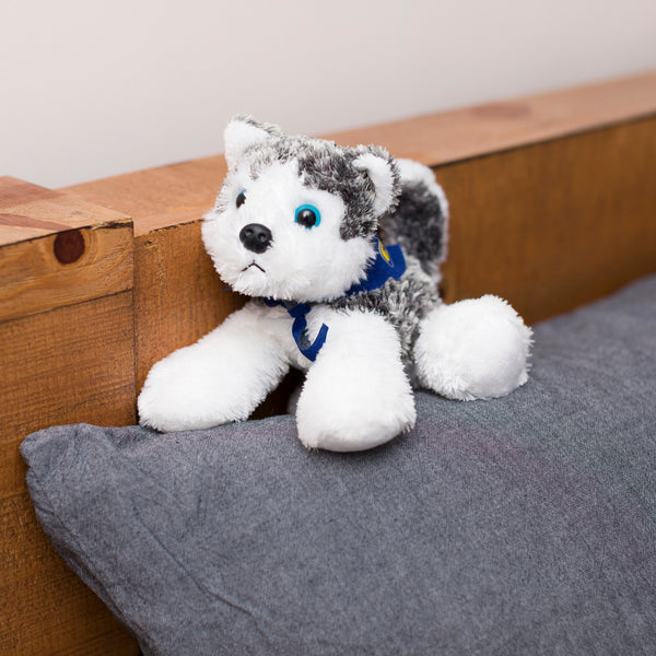 Mane 'n Tail Husky With Mane 'n Tail Blue Bandana