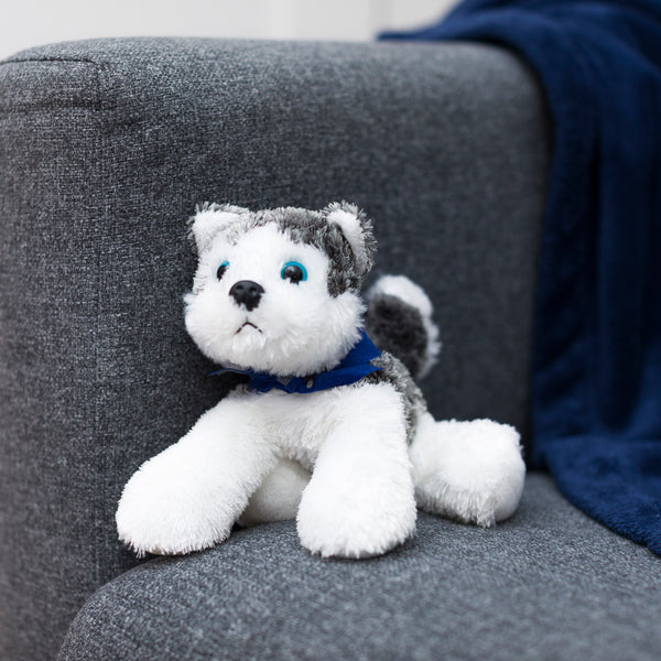 Mane 'n Tail Husky With Mane 'n Tail Blue Bandana