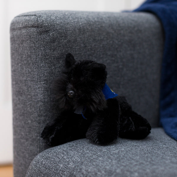 Mane 'n Tail Scottie With Mane 'n Tail Blue Bandana