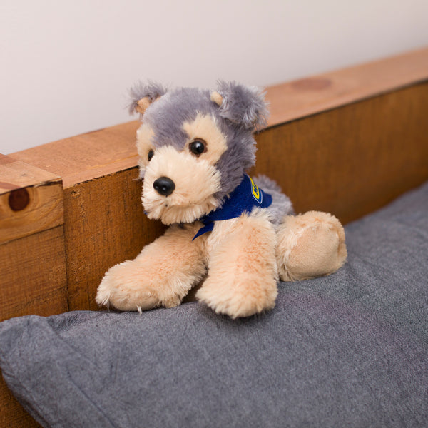 Mane 'n Tail Yorkie With Mane 'n Tail Blue Bandana