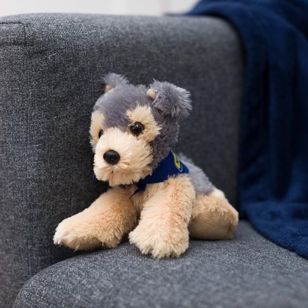 Mane 'n Tail Yorkie With Mane 'n Tail Blue Bandana