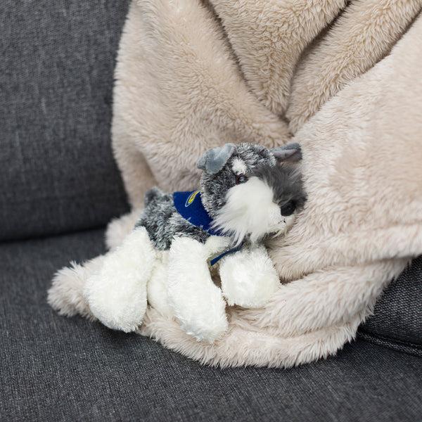 Mane 'n Tail Schnauzer With Mane 'N Tail Blue Bandana