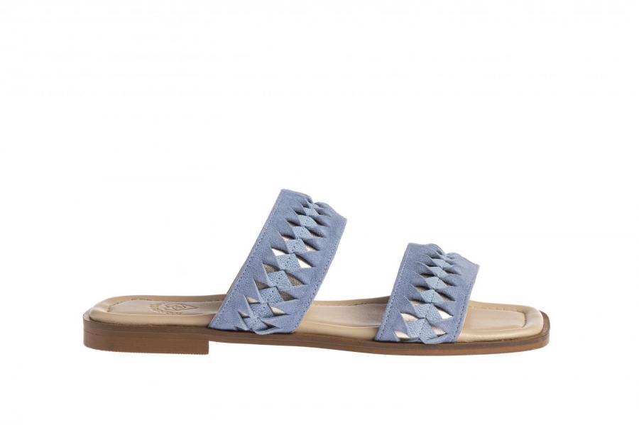 marietta's fantasy Amaryllis marietta's fantasy Amaryllis