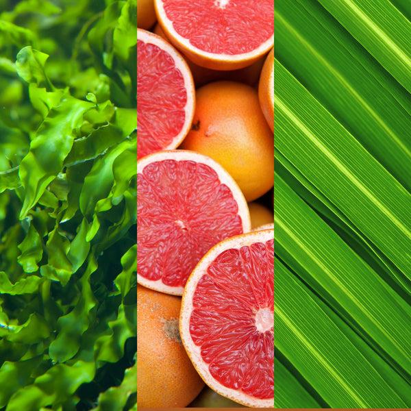 Mario Badescu Alpha Grapefruit Cleansing Lotion Toner