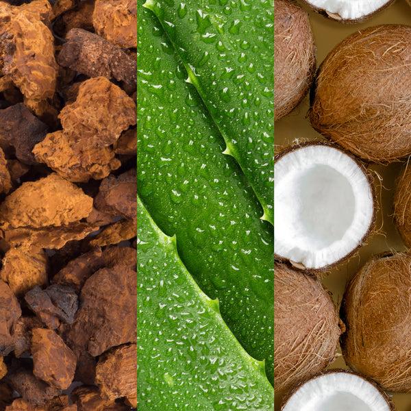 Mario Badescu Facial Spray With Aloe Adaptogens And Coconut Water