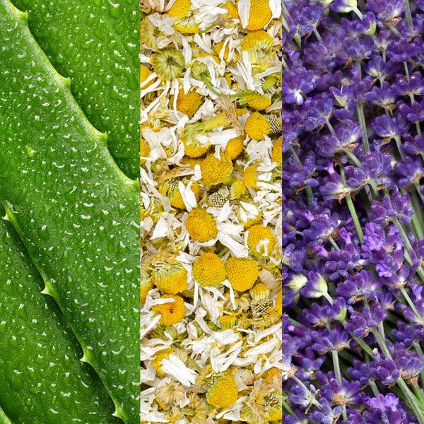 Mario Badescu Facial Spray With Aloe Chamomile And Lavender